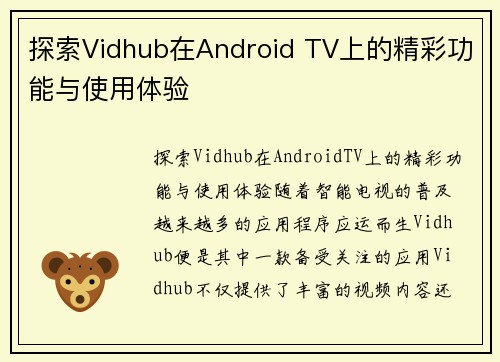 探索Vidhub在Android TV上的精彩功能与使用体验